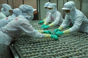KL99 là cổng game giải trí trực tuyến hàng đầu hiện nay thủy sản qua thời hấp dẫn